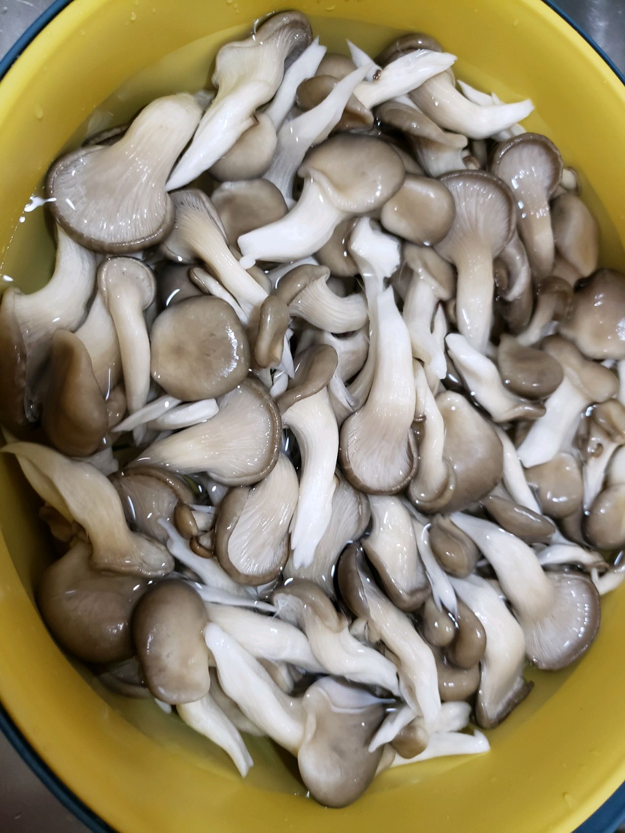 蘑菇炒鸡蛋