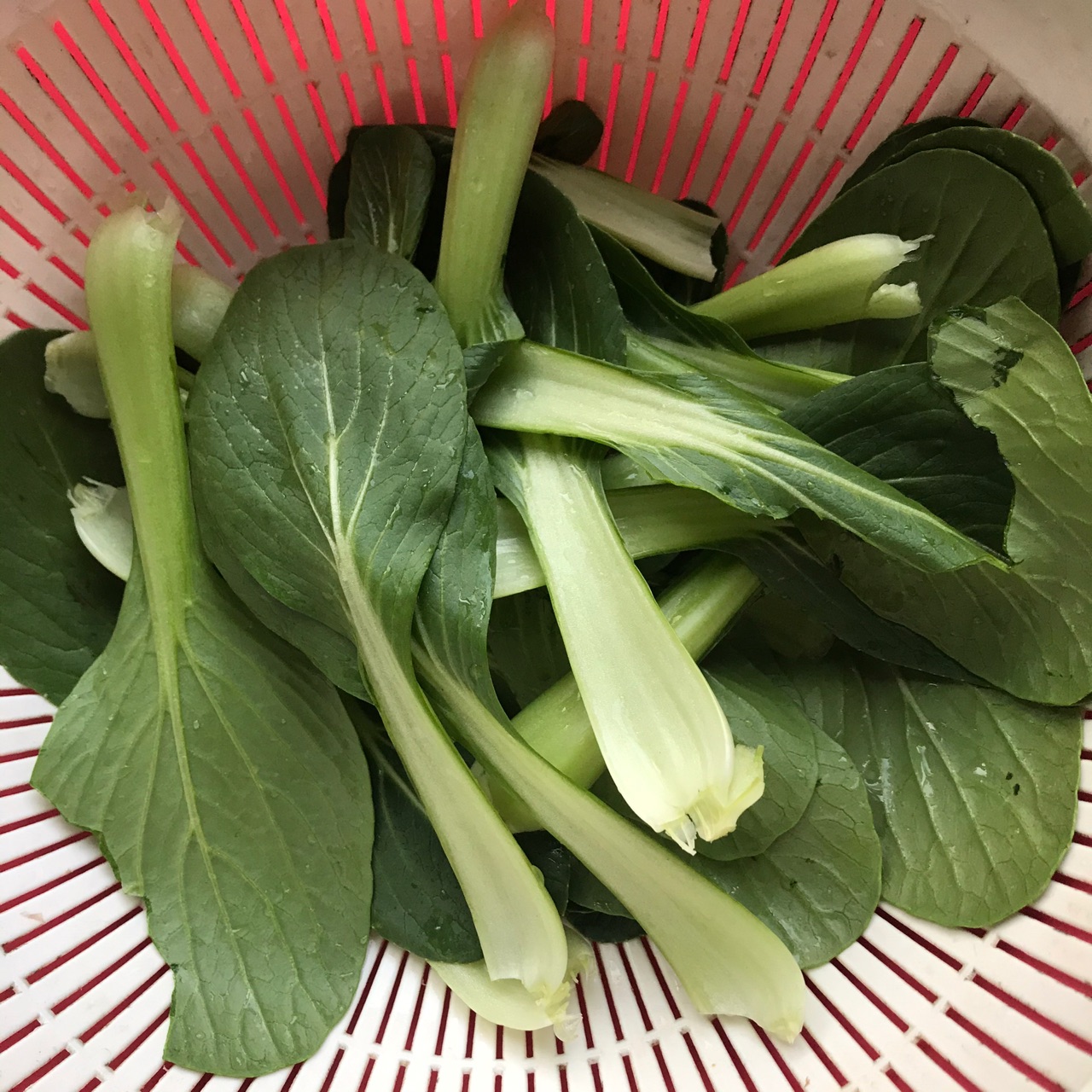 蘑菇青菜