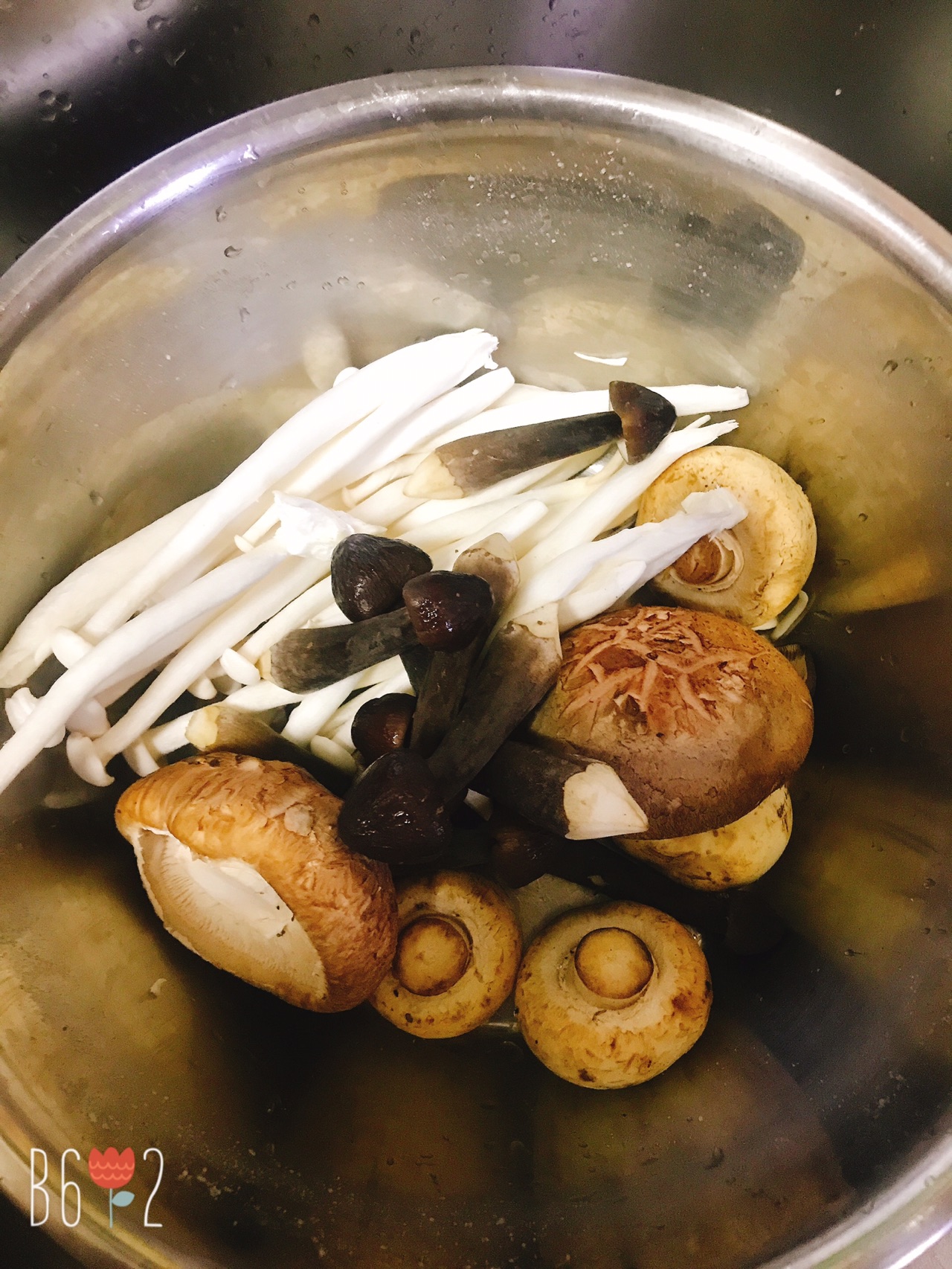 蘑菇相会