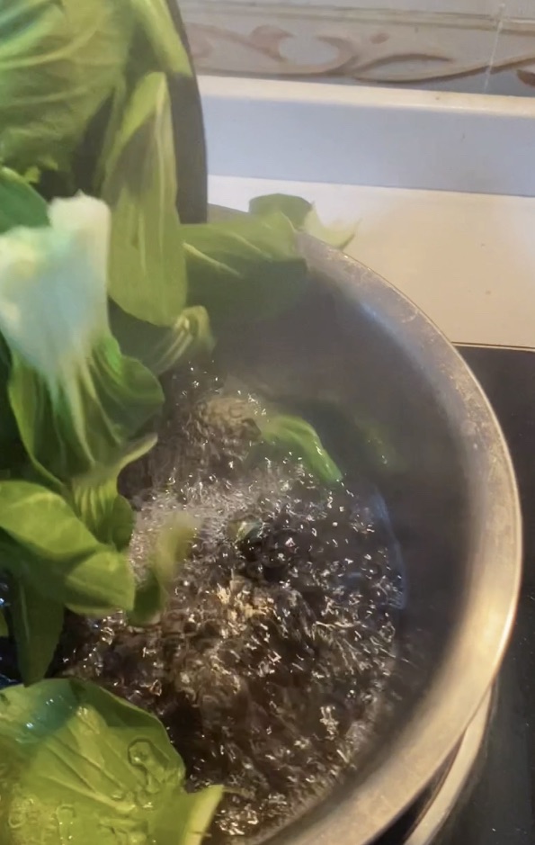 木耳油菜