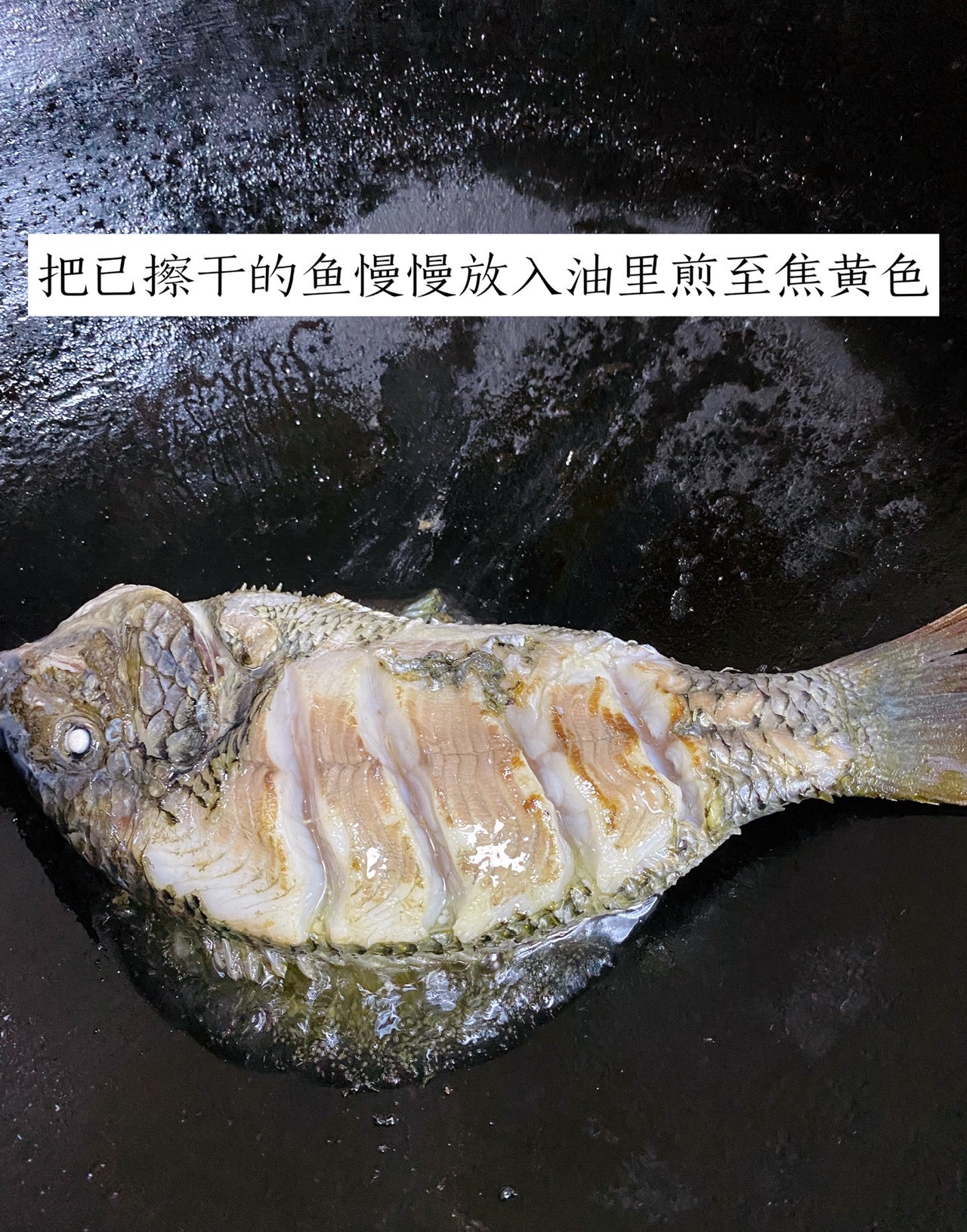 奶白色的鲫鱼豆腐汤