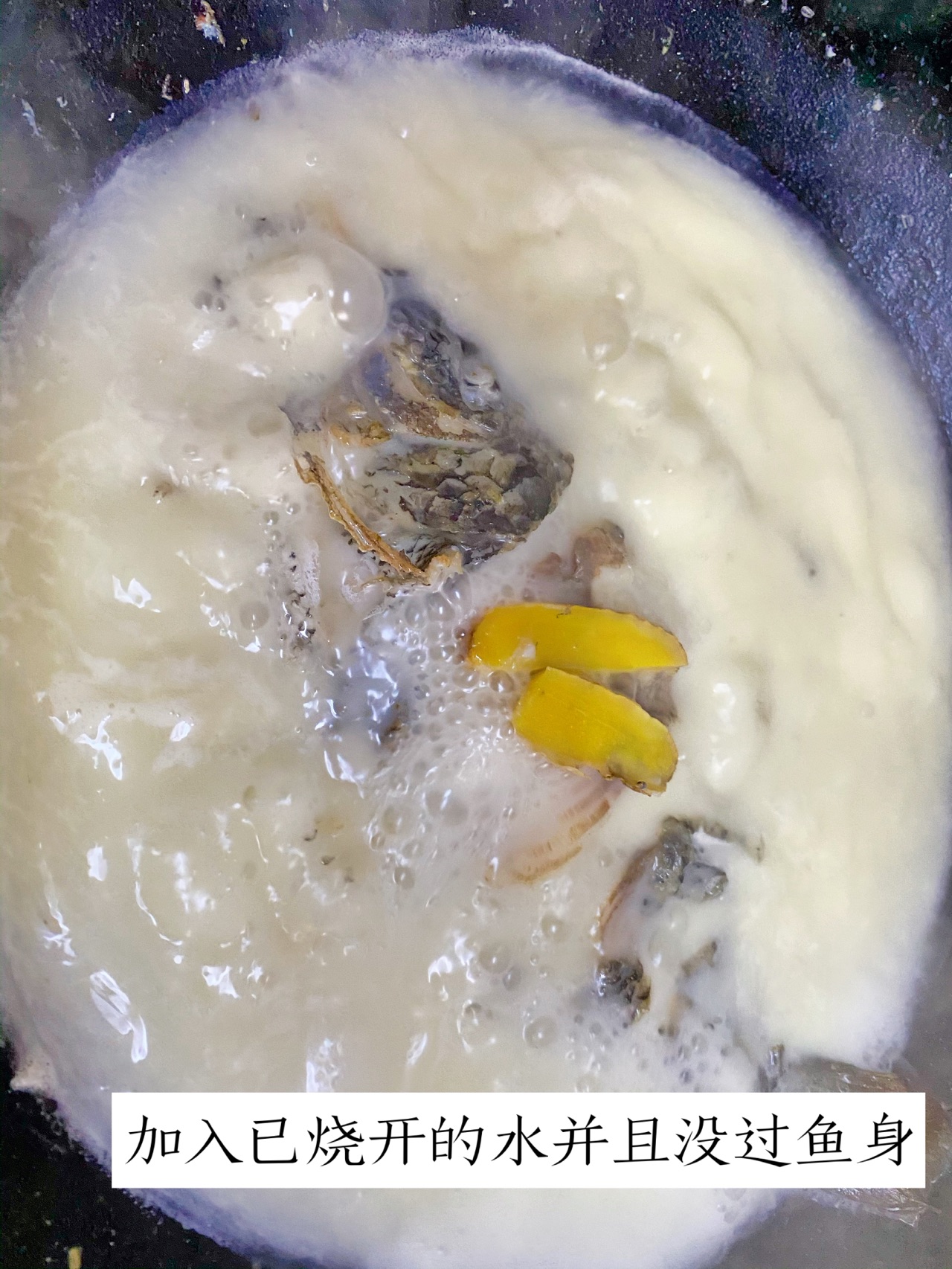奶白色的鲫鱼豆腐汤