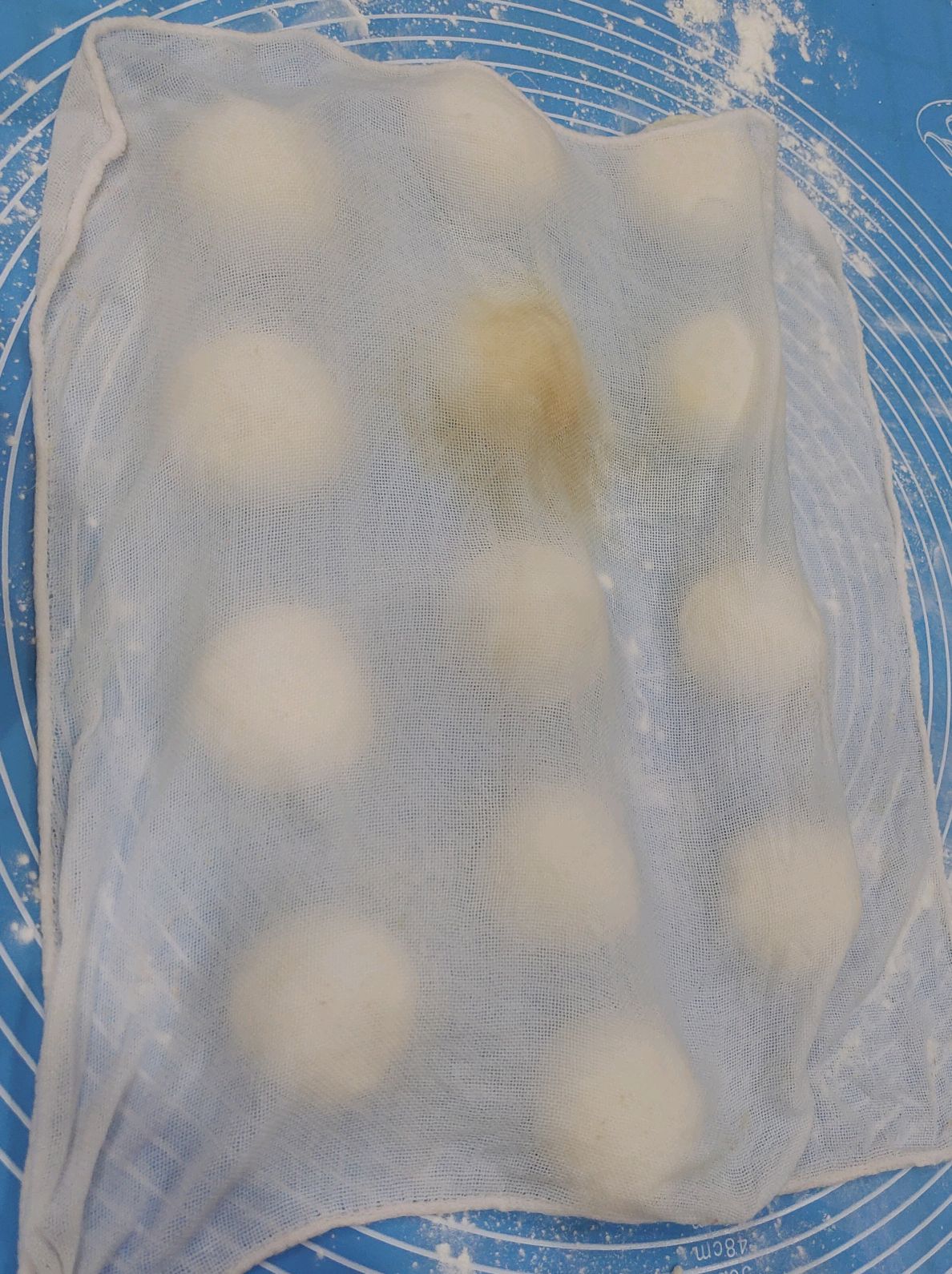 奶香南瓜包子