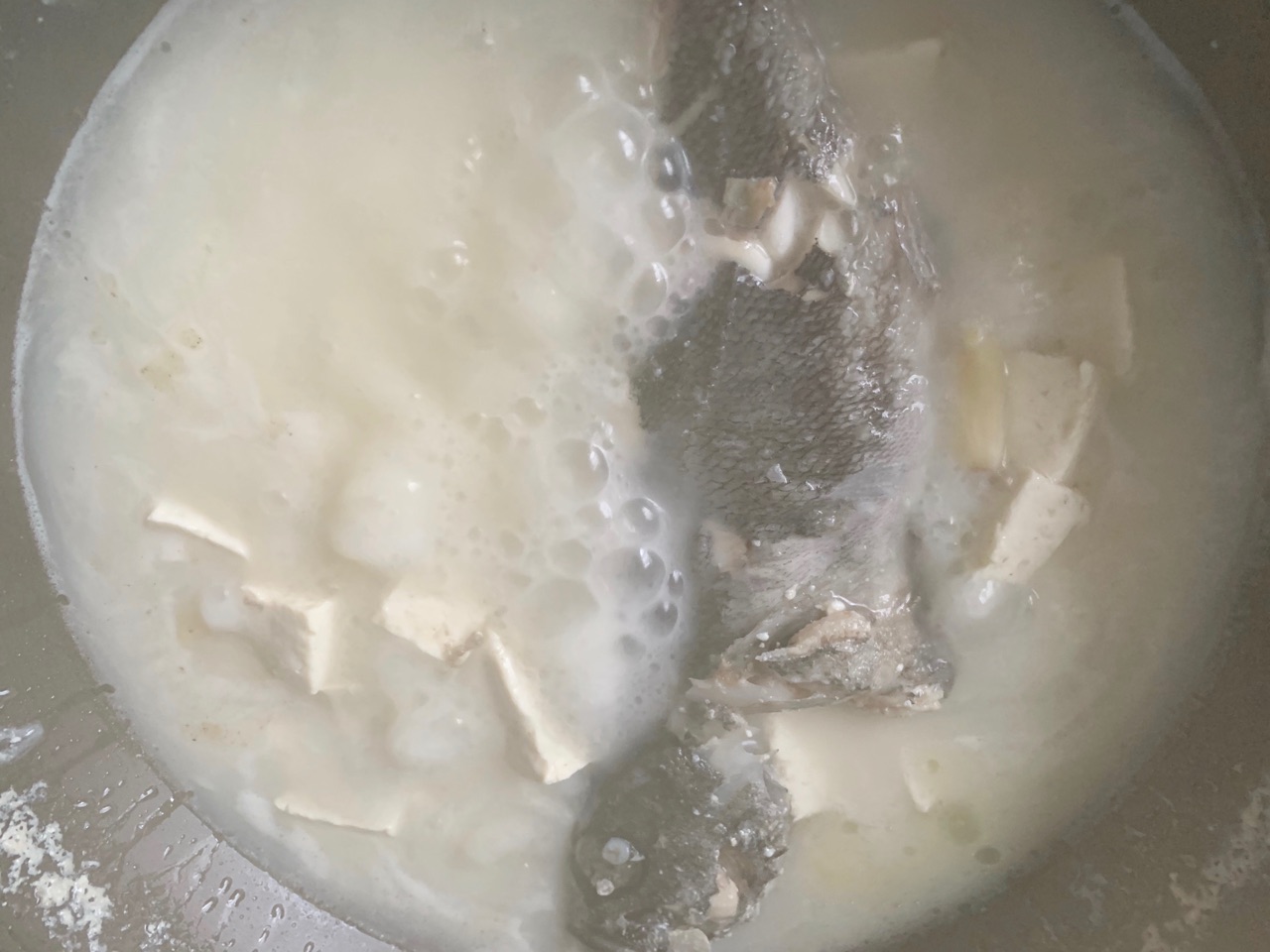 年年有鱼-黑鱼豆腐汤