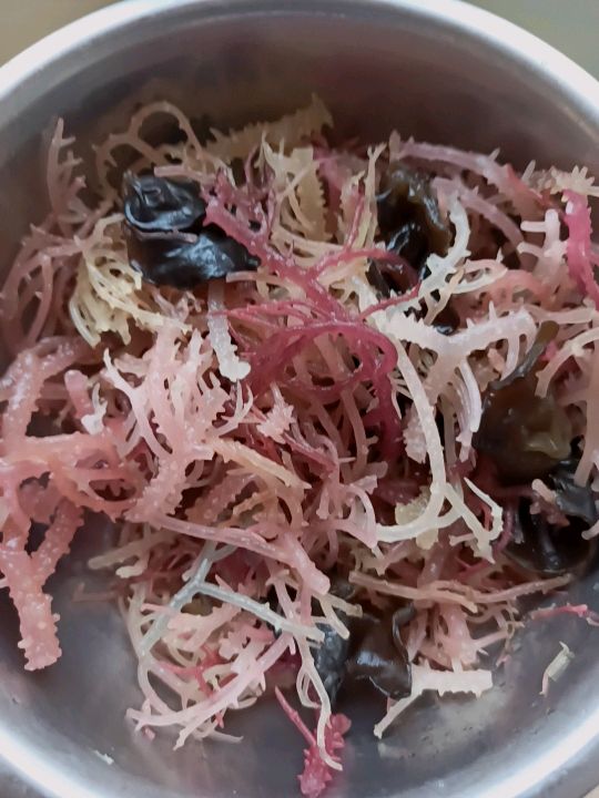 年夜饭清口木耳拌石花菜