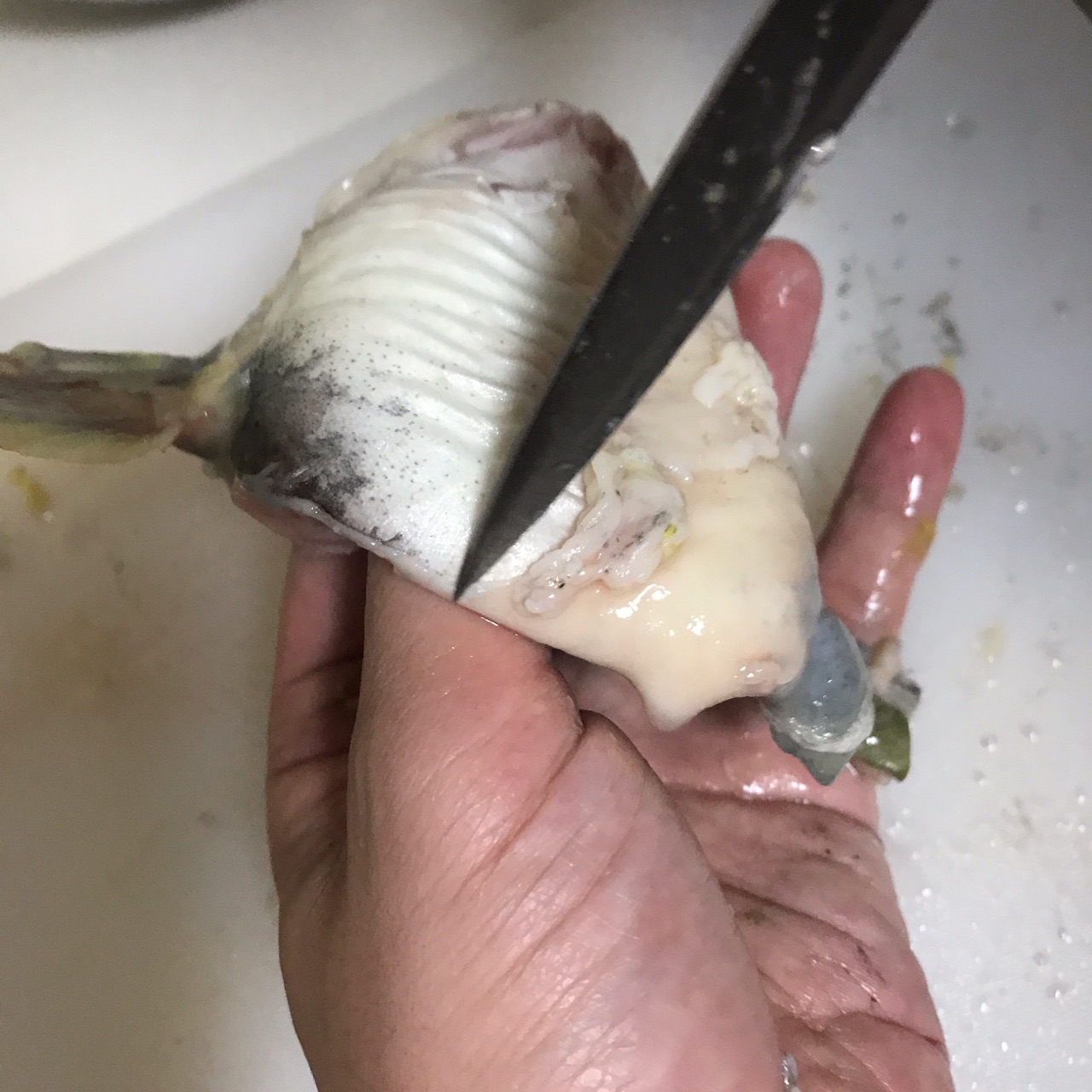 鲶鱼炖茄子  撑死老爷子