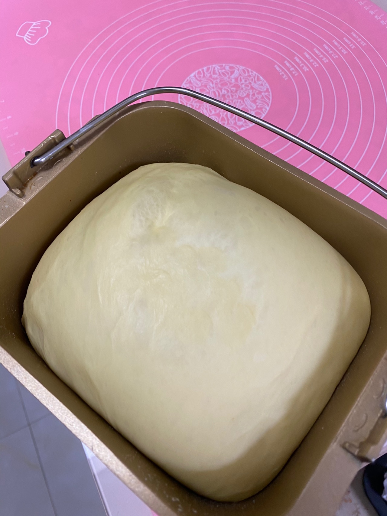牛奶棒面包