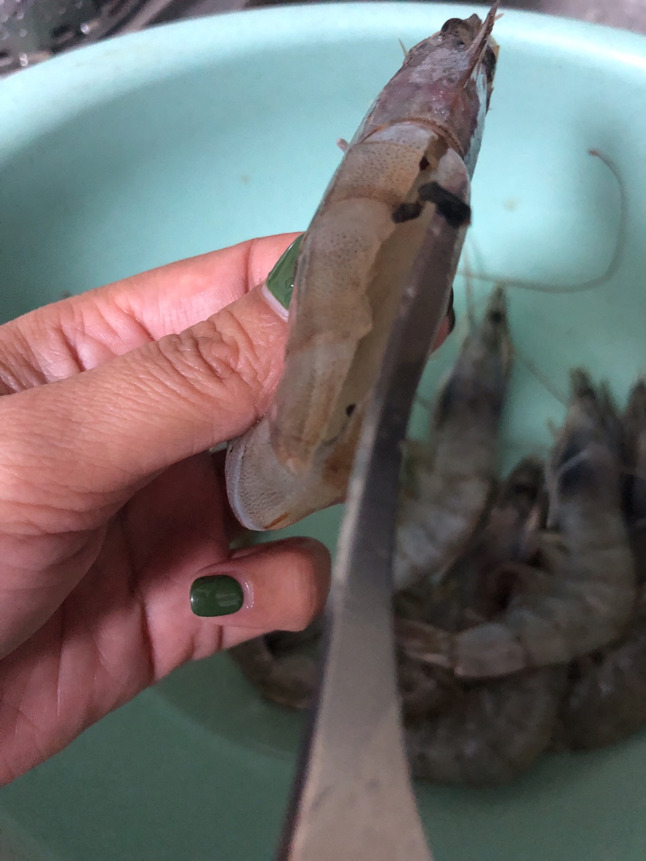牛排（煎）小田恋爱系