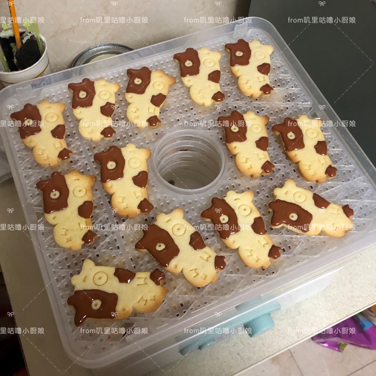 牛气冲天表情包·超详细糖霜饼干