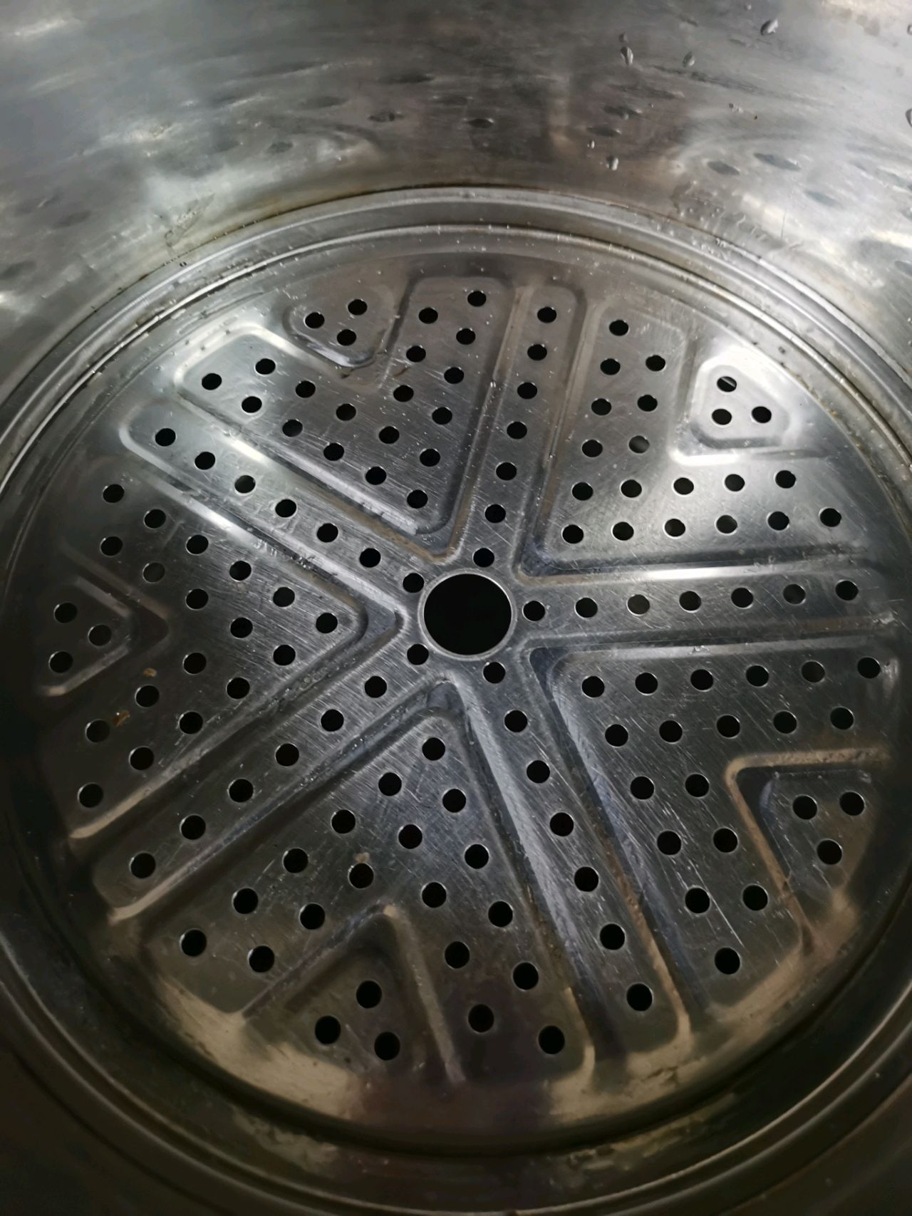 牛肉白菜大包子