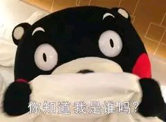 牛肉板面