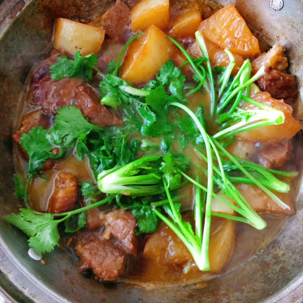 牛肉烧萝卜