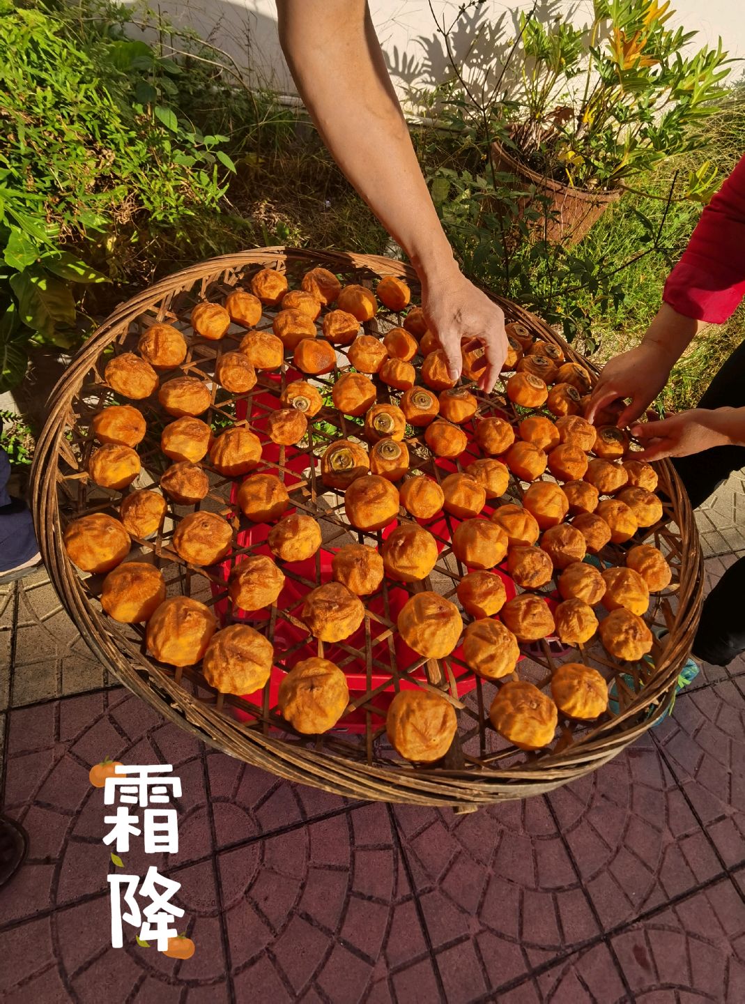 农家柿饼
