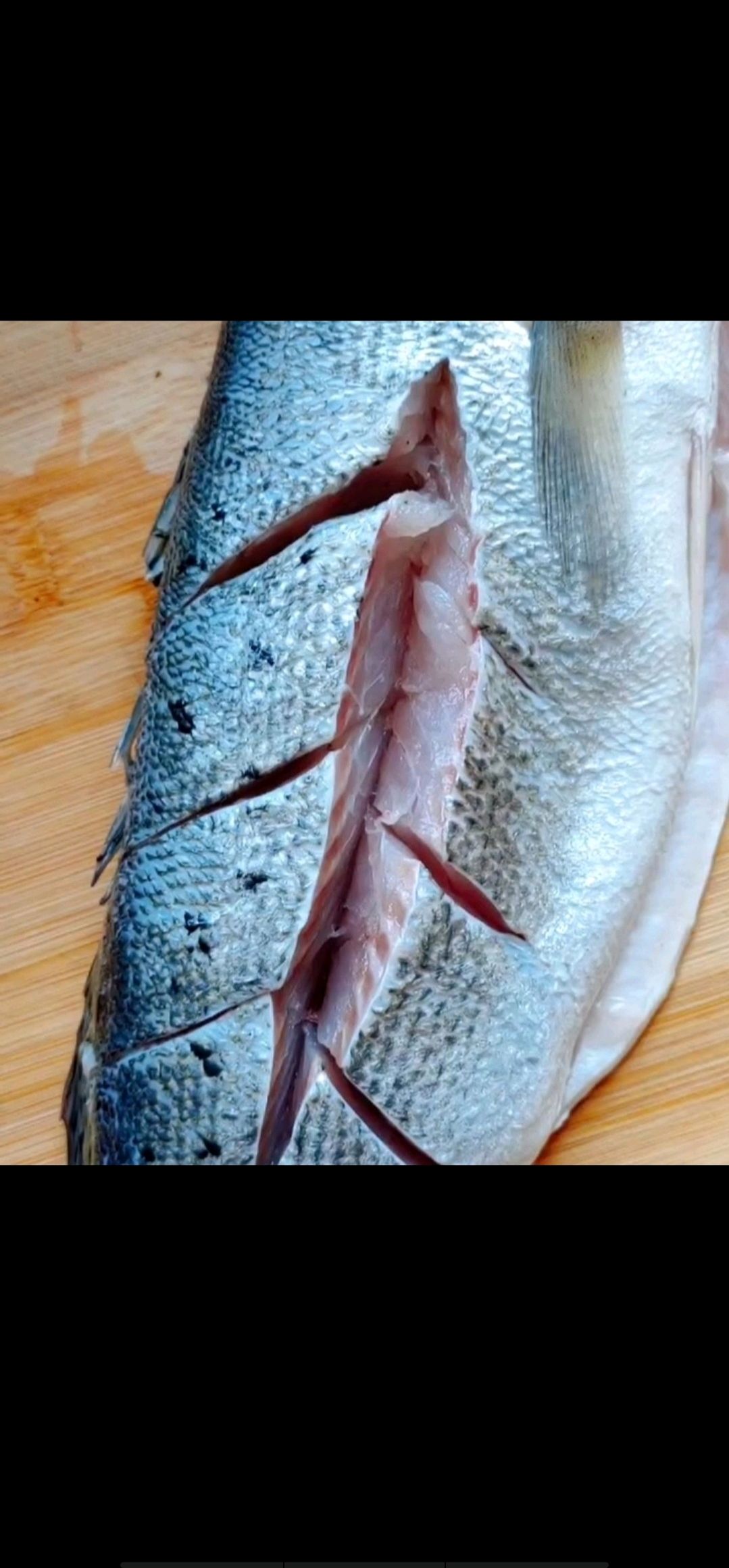 偶遇(藕、鱼)