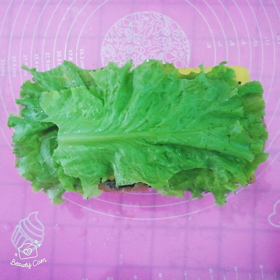 帕尼尼