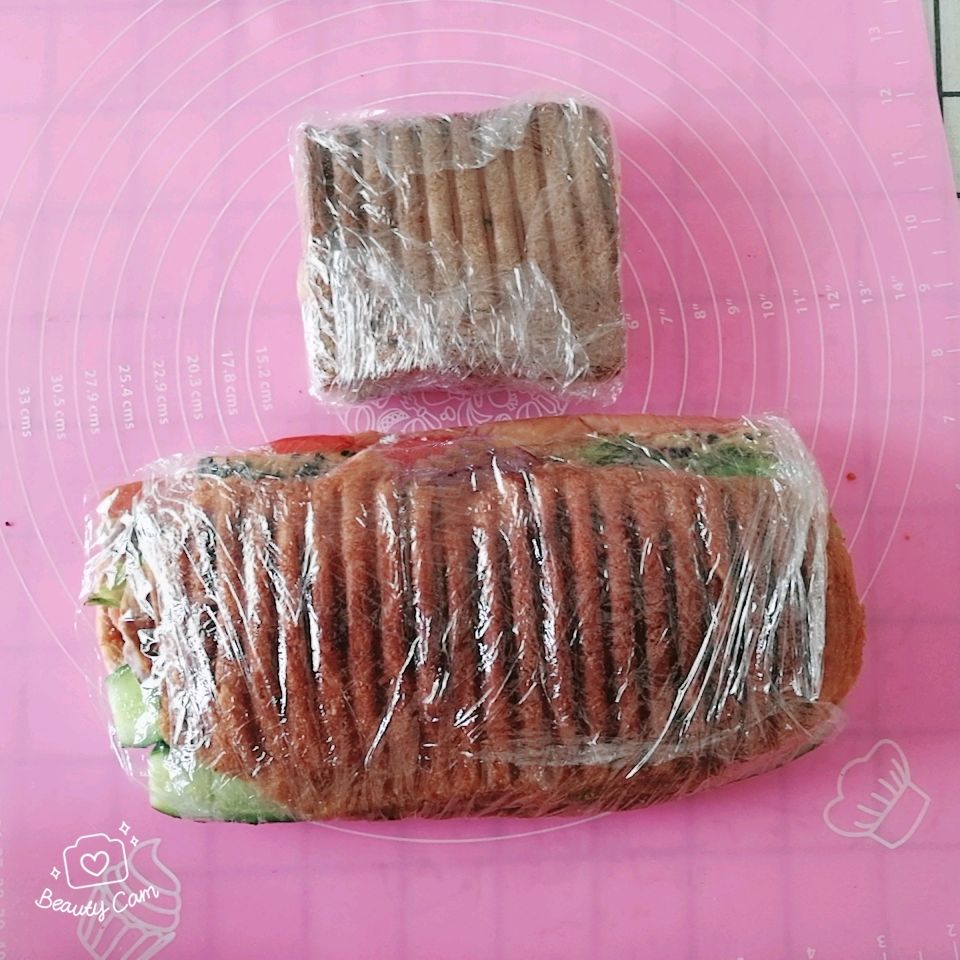 帕尼尼（独家）