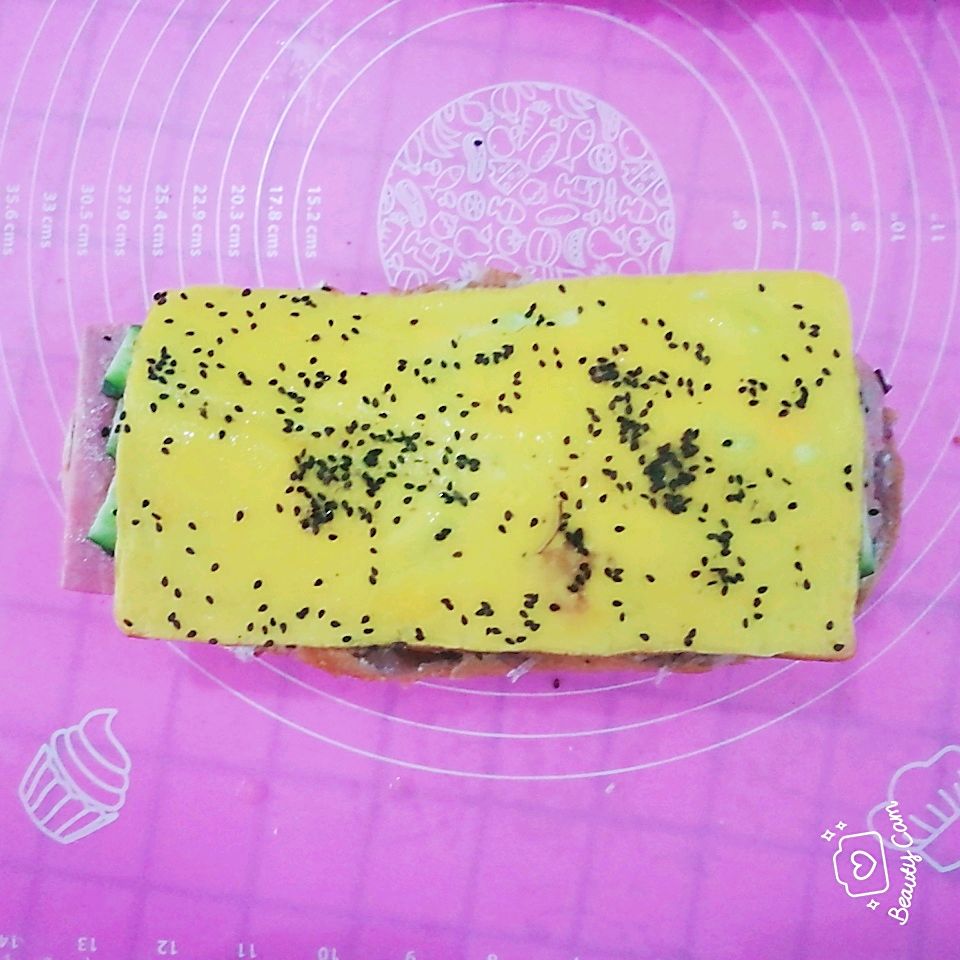帕尼尼（独家）
