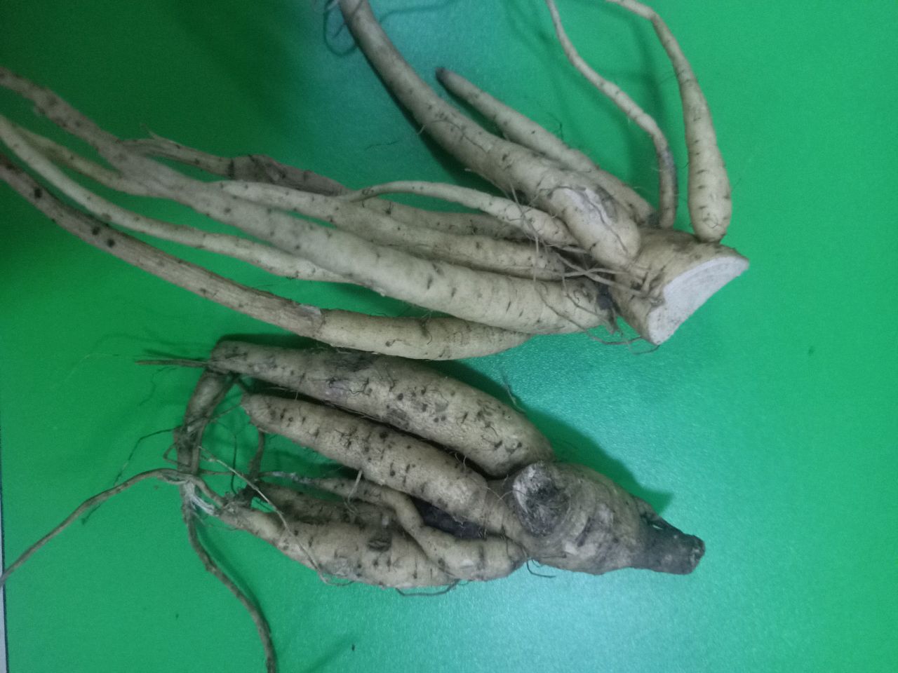 排骨炖藕