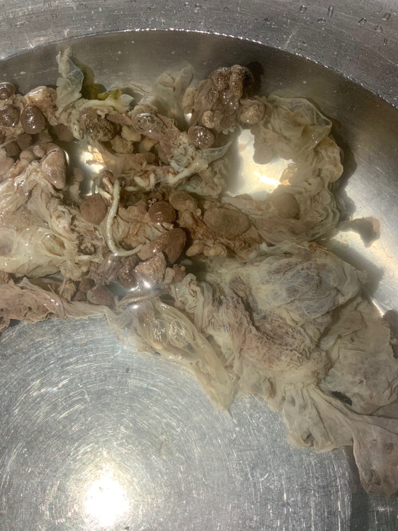 排骨炖羊胎盘