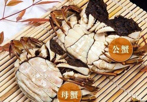 螃蟹的正确挑选及白灼方式
