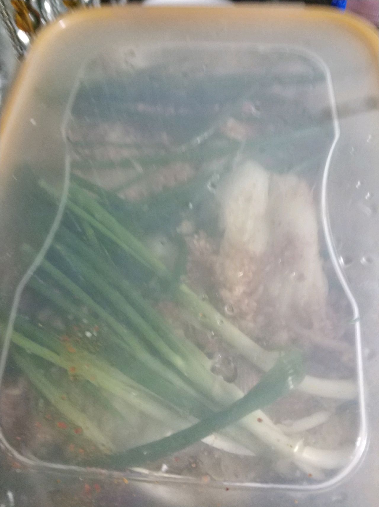 泡菜