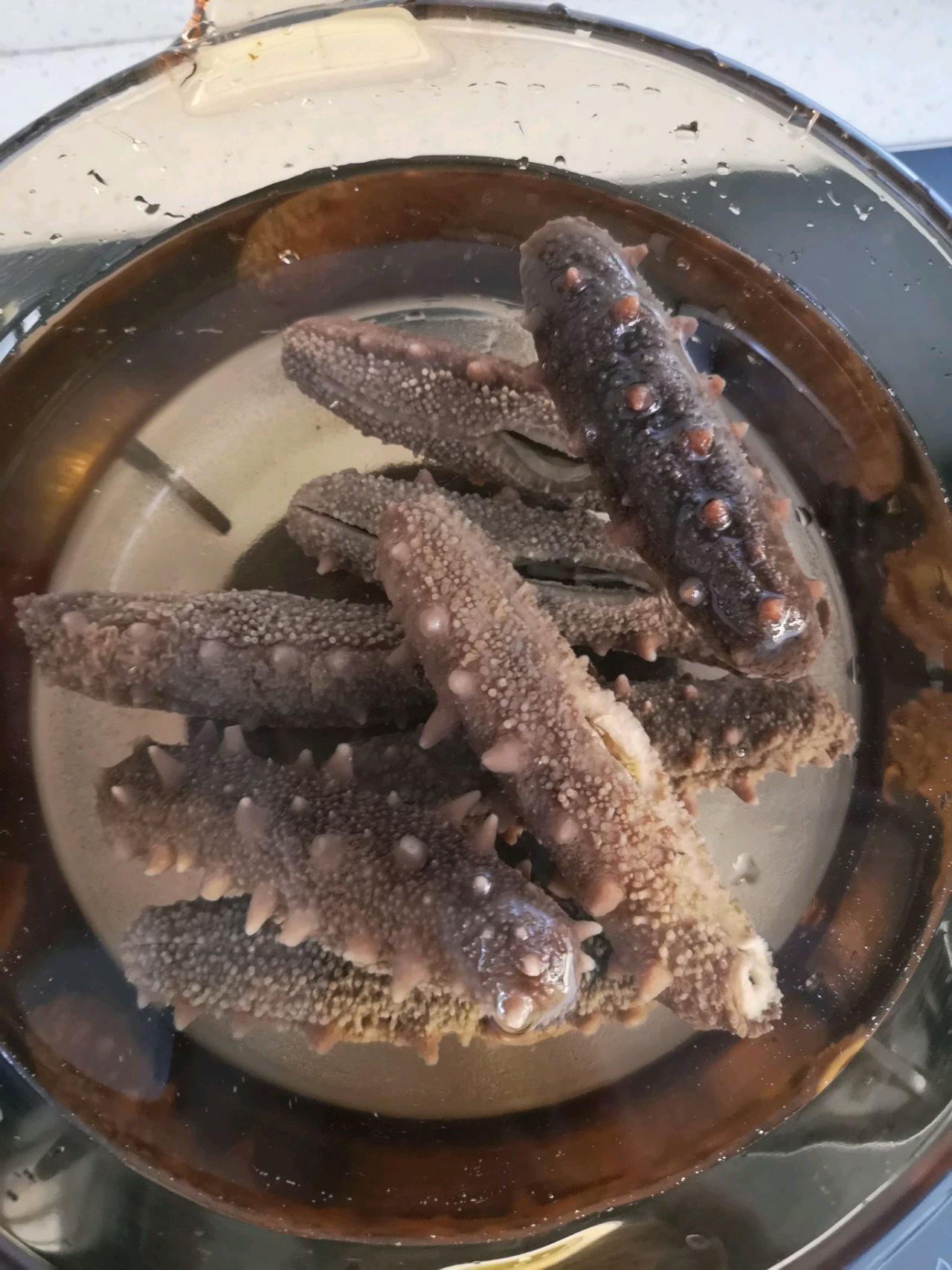 泡发海参
