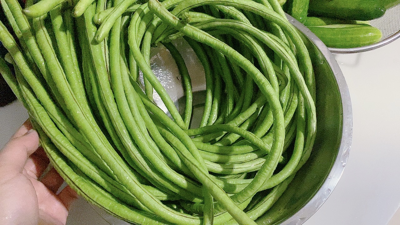 泡酸豆角
