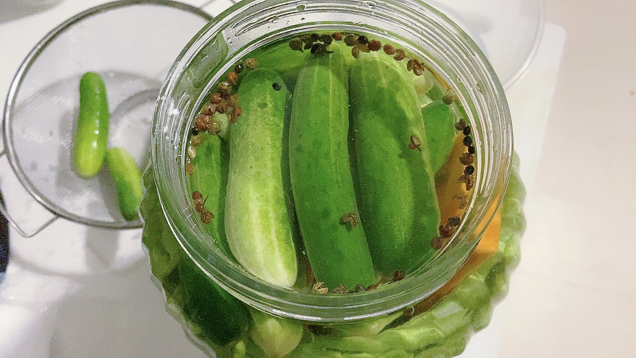 泡酸豆角