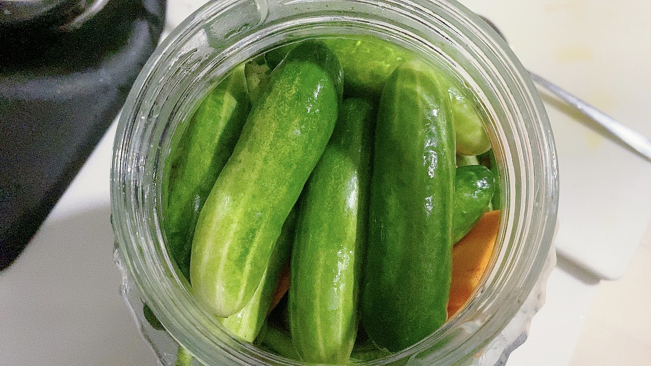 泡酸豆角