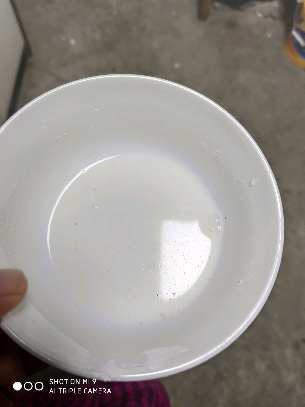 飘香光盘花菜