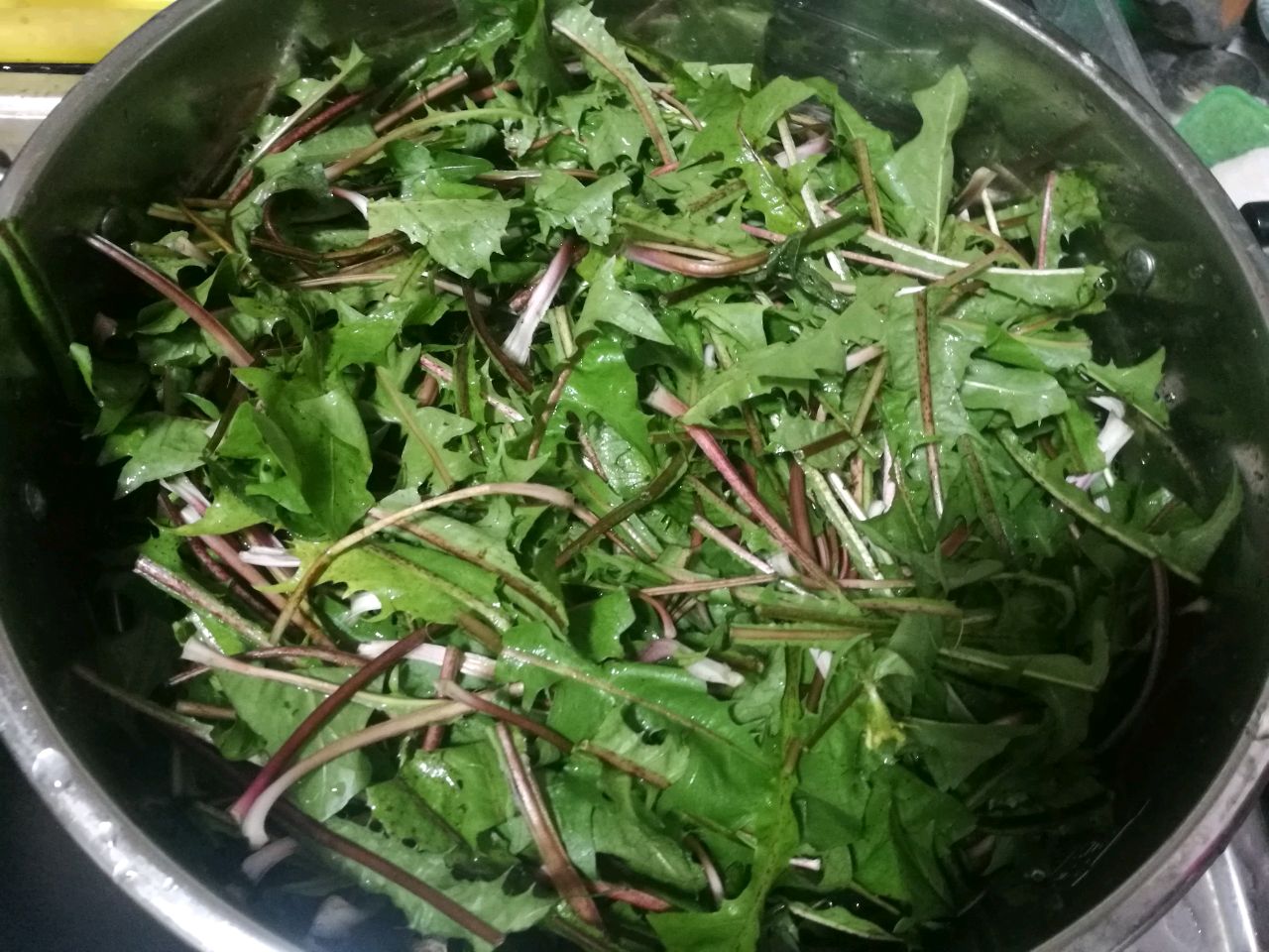 蒲公英茶
