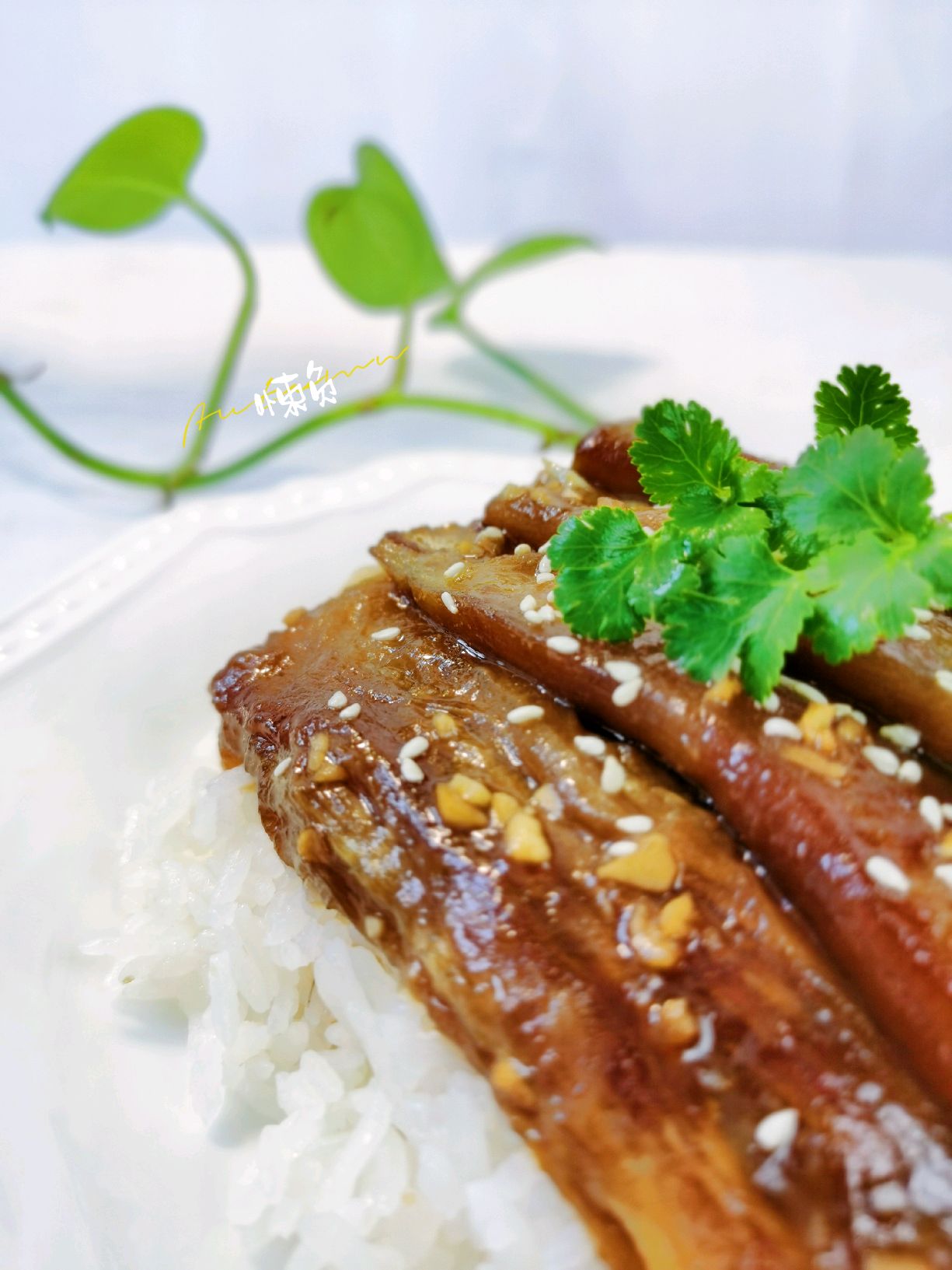 蒲烧茄子饭（以假乱真鳗鱼饭）