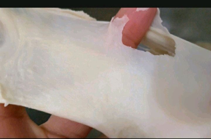 葡萄干墨西哥面包