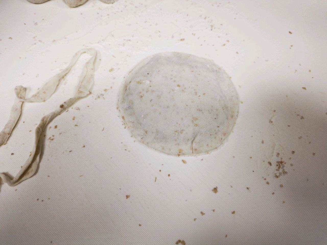 荠菜合子