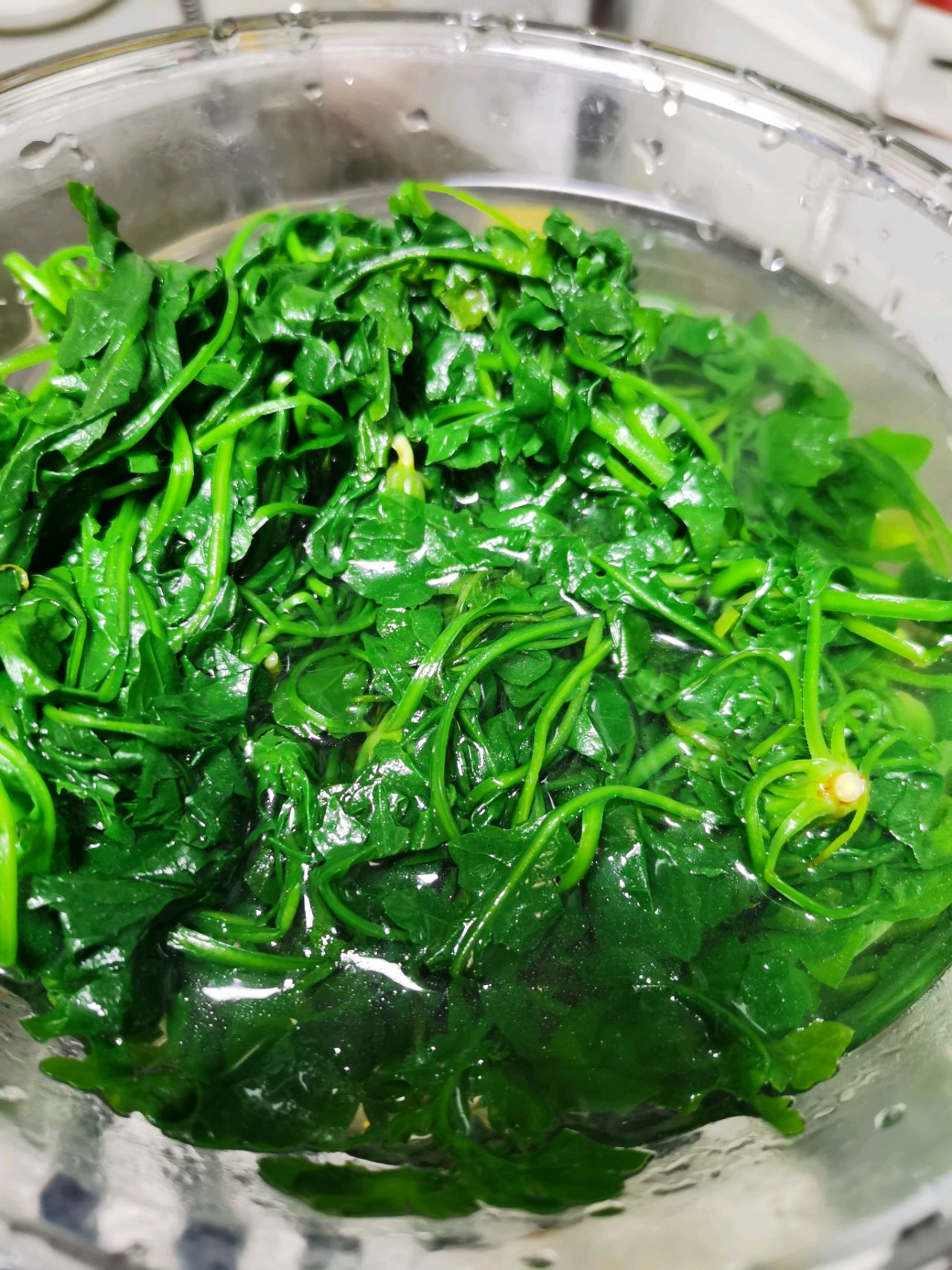 荠菜鸡蛋饺子