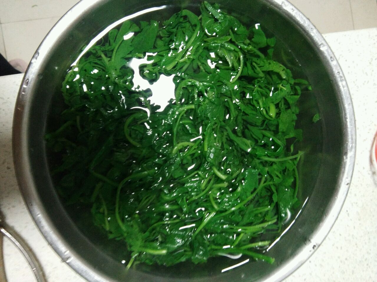 荠菜肉饺子