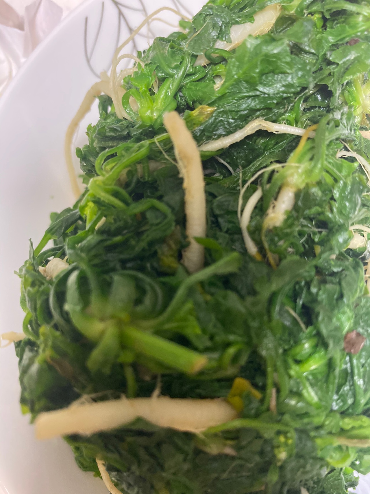 荠菜鲜肉虾皮水饺