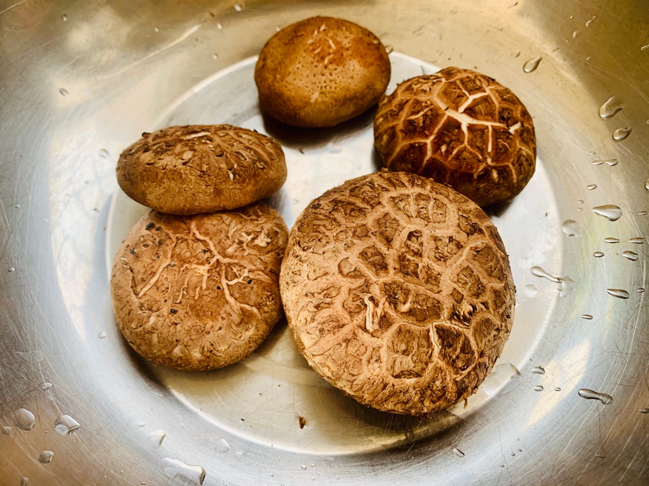 荠菜香菇肉水饺