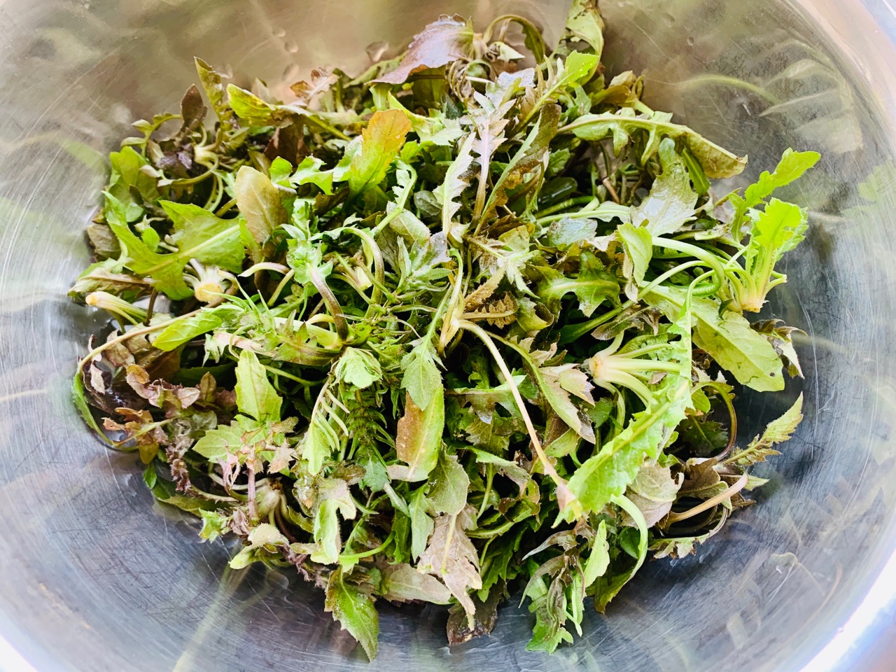 荠菜香菇肉水饺