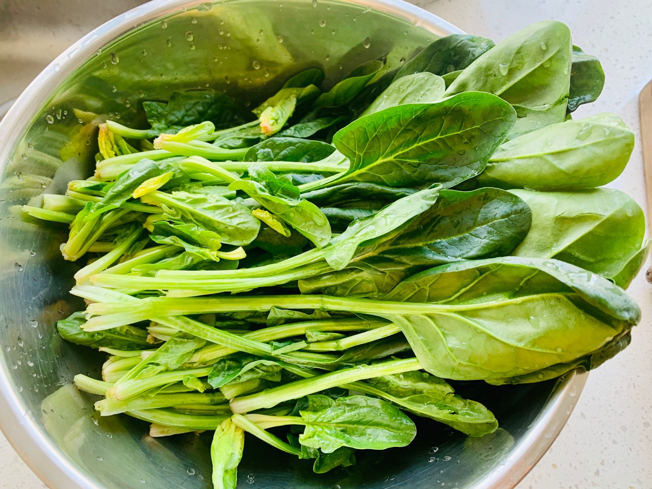 荠菜香菇肉水饺