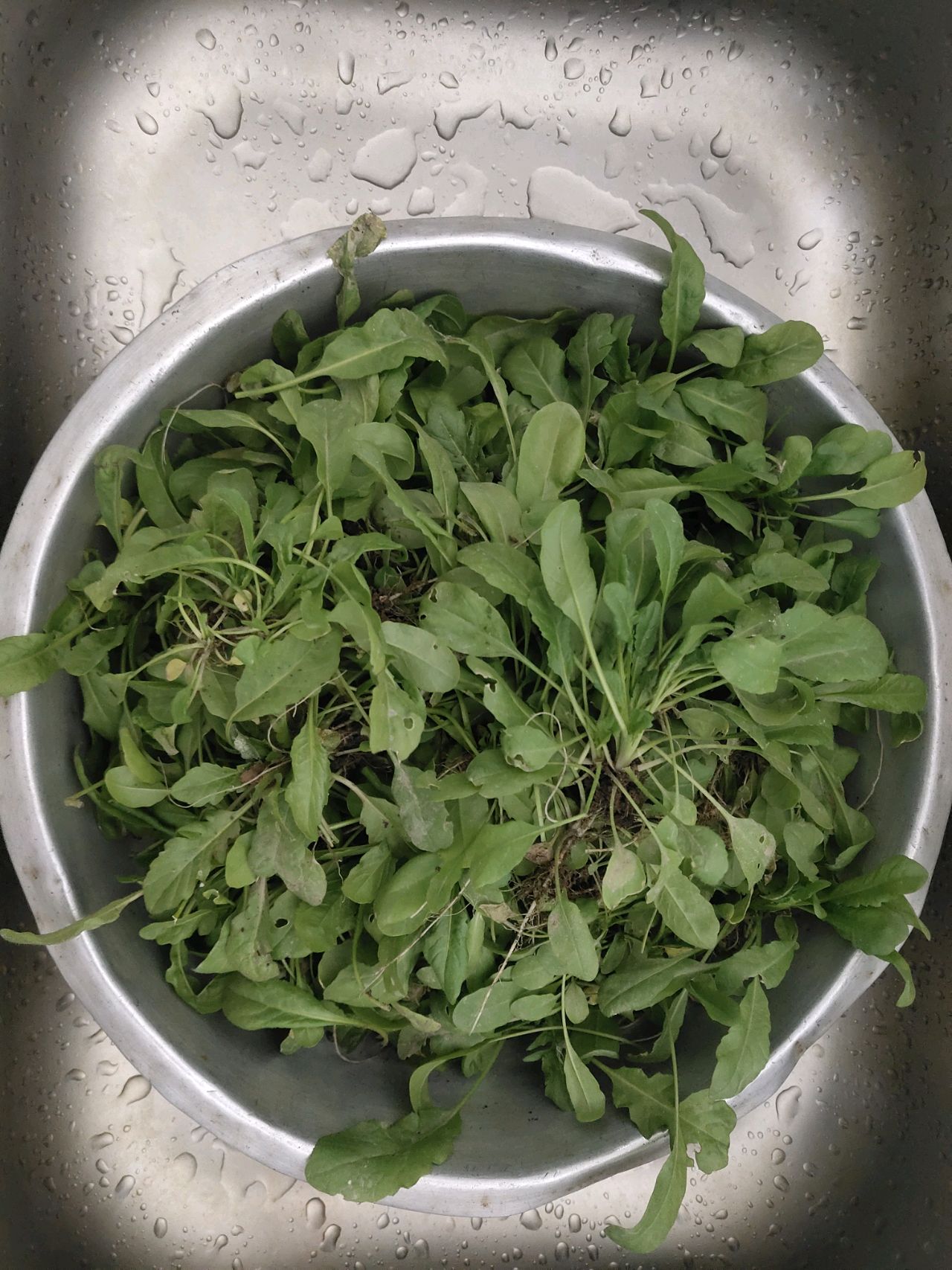 荠菜粥