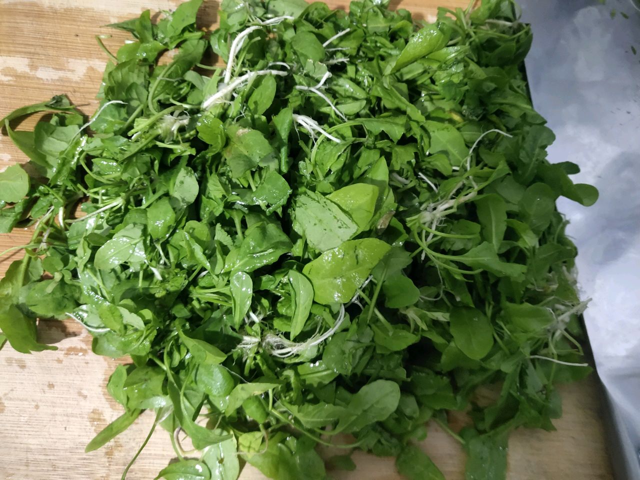 荠菜粥