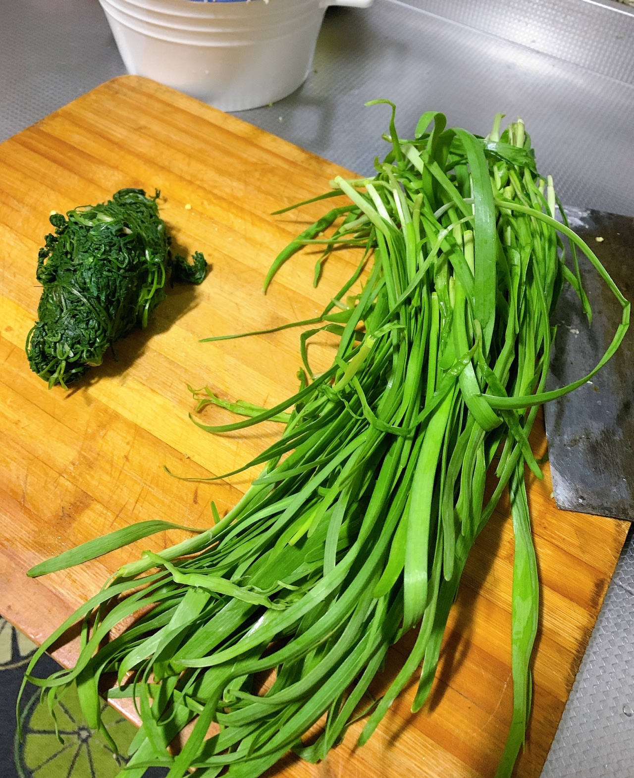 荠菜猪肉馅手工饺子