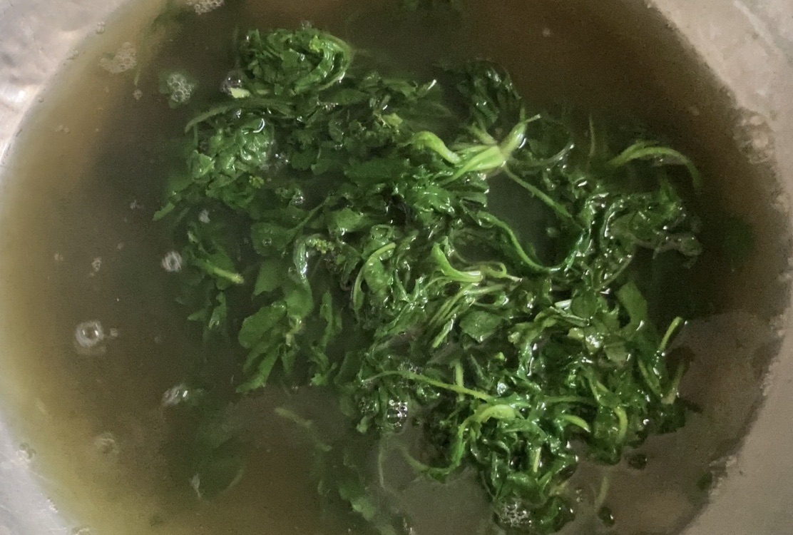荠荠菜饺子