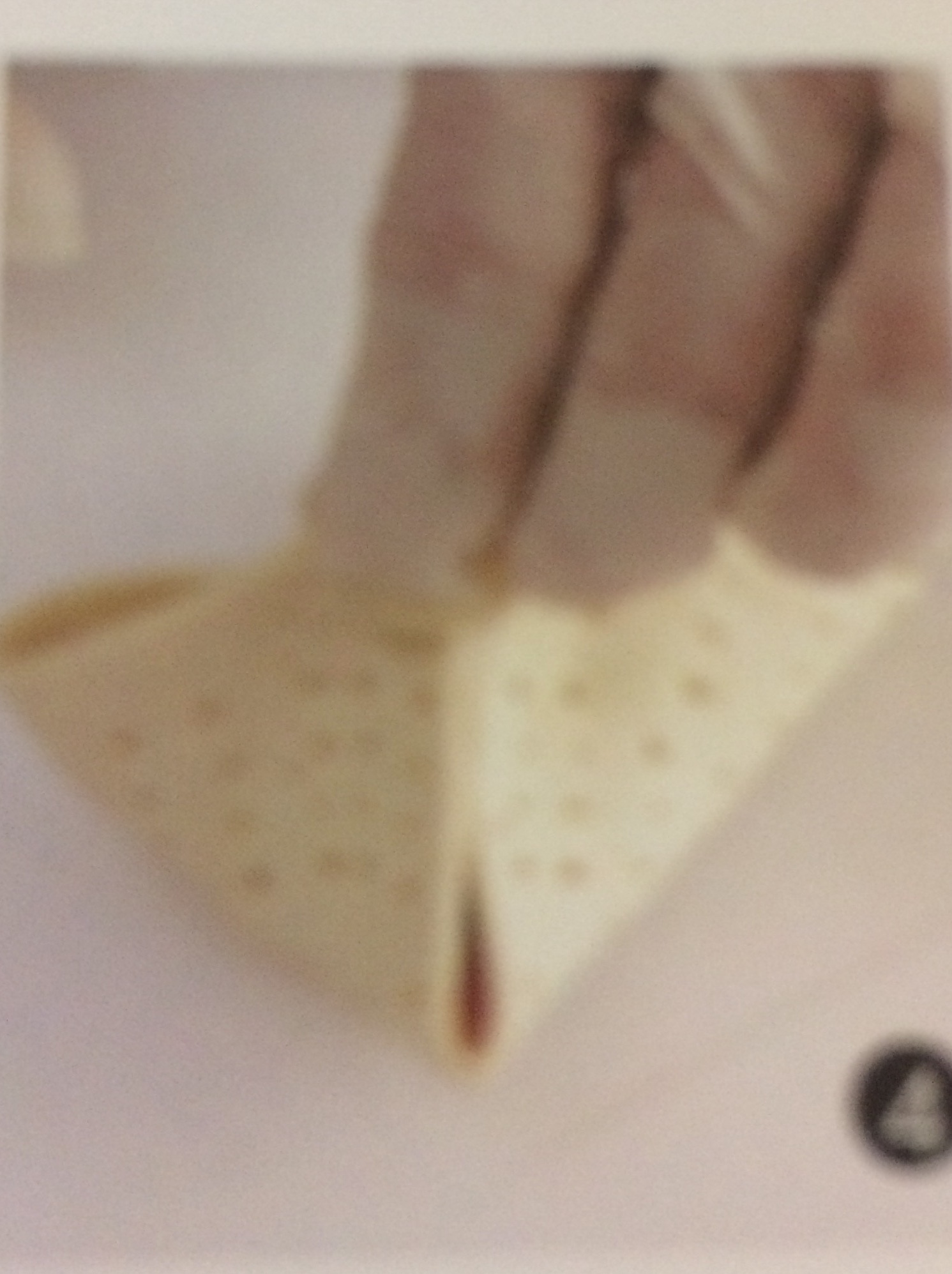 千层素鱼饭包