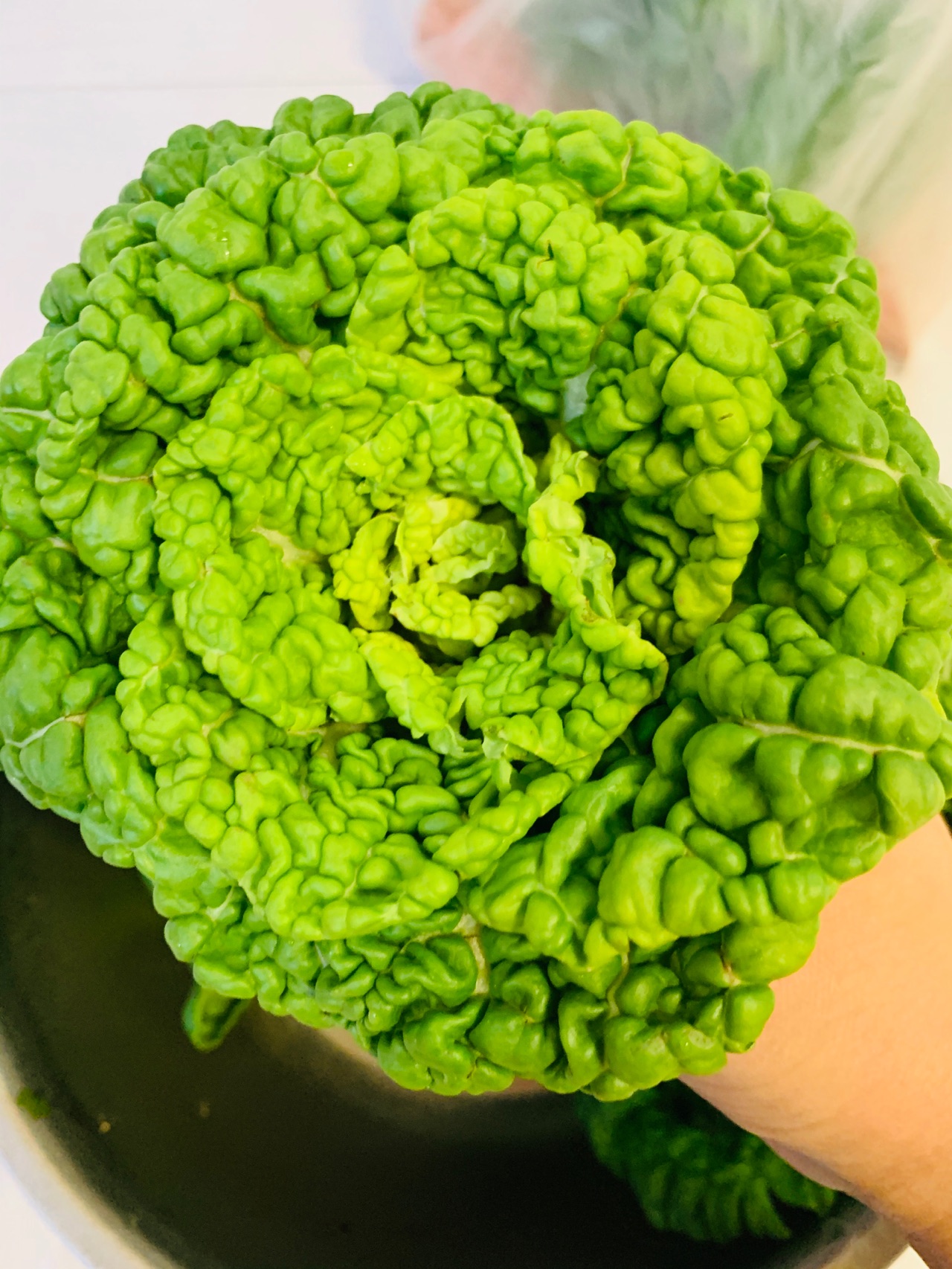 呛炒黄心菜～美味快手菜