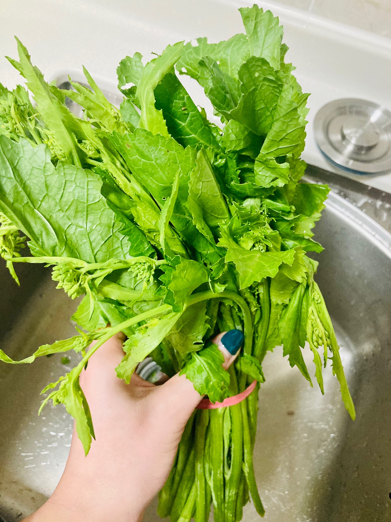 炝炒辣菜