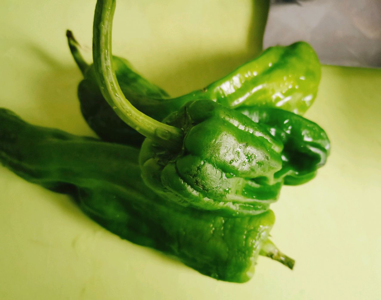 茄子煲
