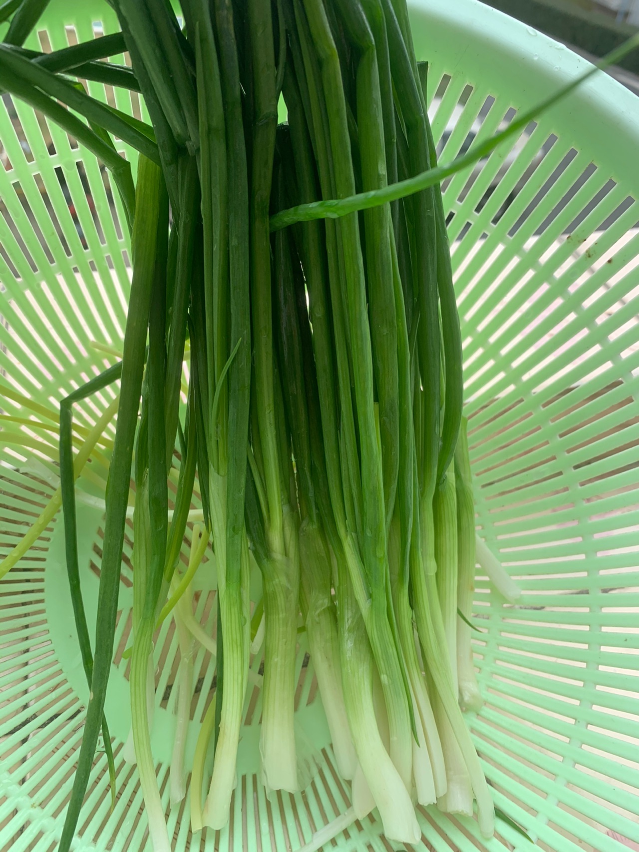 茄子饺子