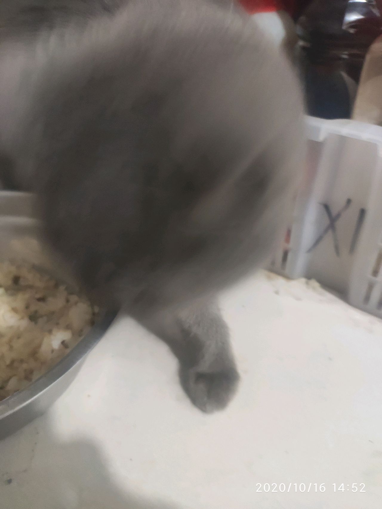 茄子烤